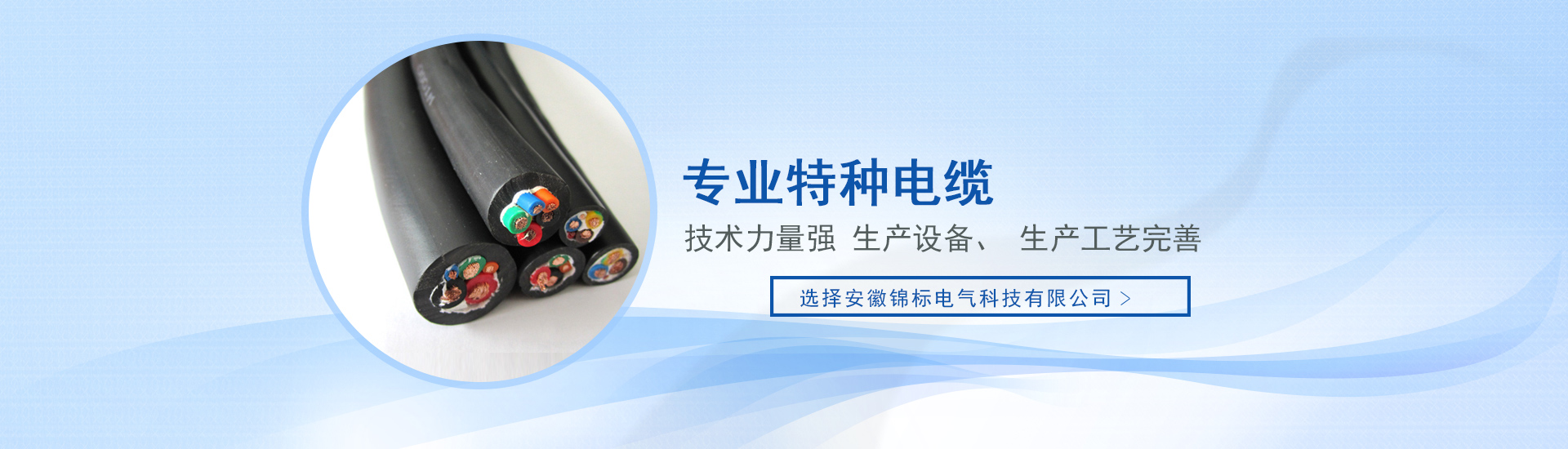 安徽錦標電氣科技有限公司